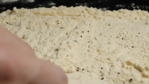 Close-up of flour with parasitized small eggs of the beetle Tribolium confusum. 動画素材 283305558
