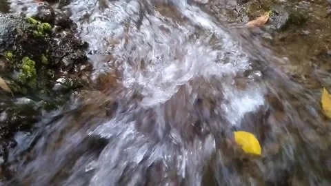 Close up flow river Stock Footage 288114791