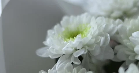 Close-up, Flower bouquet in the rays of light, rotation, the floral compositi Stock Footage 301393777