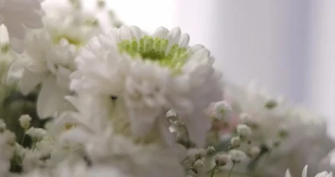 Close-up, Flower bouquet in the rays of light, rotation, the floral compositi Stock Footage 301393821