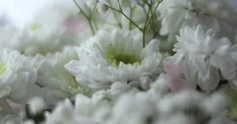 Close-up, Flower bouquet in the rays of light, rotation, the floral compositi Stock Footage 301393855