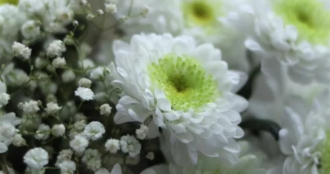 Close-up, Flower bouquet in the rays of light, rotation, the floral compositi Stock Footage 301393906