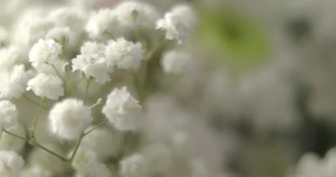Close-up, Flower bouquet in the rays of light, rotation, the floral compositi Stock Footage 301394049