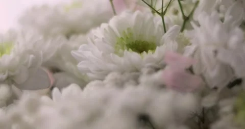 Close-up, Flower bouquet in the rays of light, rotation, the floral compositi 库存影片 301394176