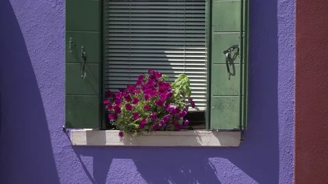 Close up of flower box of a traditional colourful houses of Burano Island, Ve Stock Footage 83420146