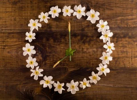 Close -up of flower clock Stock Photos