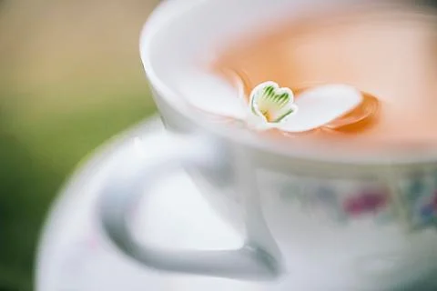 Close up of flower floating in tea Stock Photos