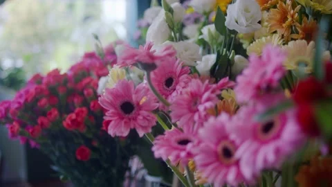 Close Up Flower Focus Rack Video stock 201215404