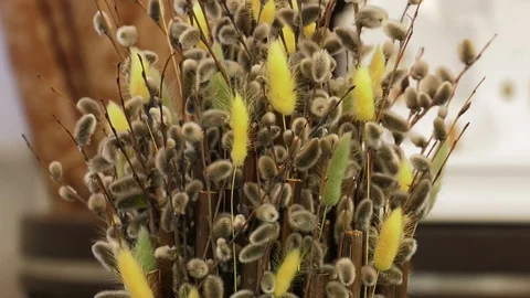 A close up of a flower Video stock 129579348