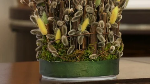 A close up of a flower Video stock 129579846