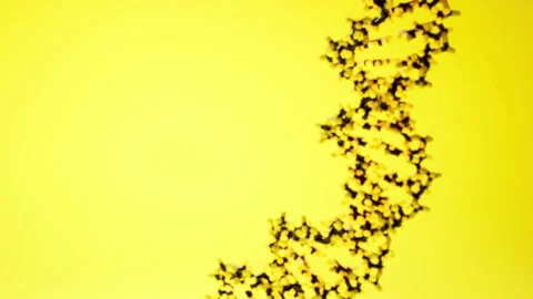 A close up of a flower Video stock 155225568