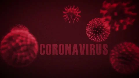 A close up of a flower Stock Footage 155227472