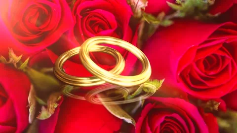 A close up of a flower Stock Footage 155231469