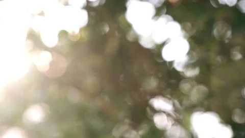 A close up of a flower 库存影片 157864749