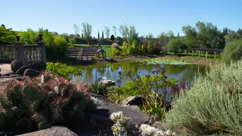 A close up of a flower garden Stock Footage 155591194