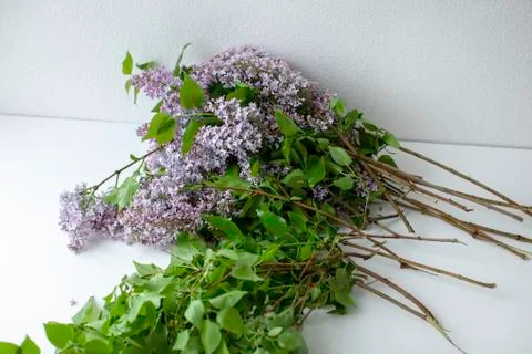 A close up of a flower. Foto stock