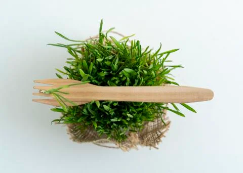 A close up of a flower Stock Photos