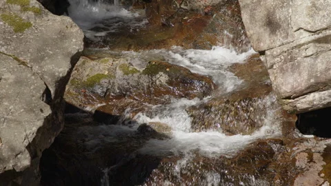 Close-up of Flowing Mountain Stream in Japan – Clear Water Over Rocks and Moss Stock Footage 319707517