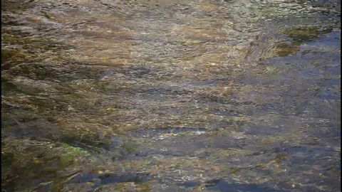 Close up of a flowing river Video stock 99010945