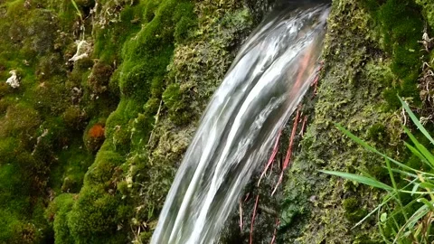 Close-up flowing small waterfall in the forest Stock Footage 240384140