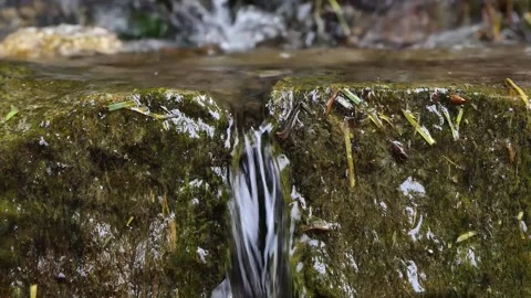 Close-up flowing small waterfall in the forest Stock Footage 240641840