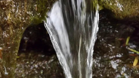 Close-up flowing small waterfall in the forest Stock Footage 240642143