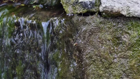 Close-up flowing small waterfall in the forest Stock-Footage 240644277