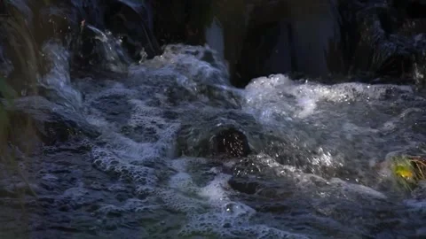 Close-Up of Flowing Stream Water Cascading Over Mossy Rocks in a Tranquil N.. Stock Footage 346549622