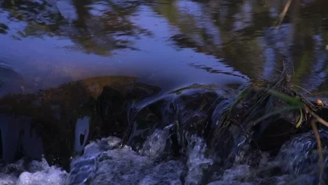 Close-Up of Flowing Stream Water Cascading Over Mossy Rocks in a Tranquil N.. Stock Footage 346549709
