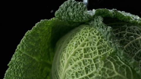 Close-up of flowing stream of water on head of Savoy cabbage. Slow motion of Stock Footage 260669941