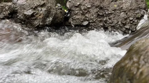 Close-up of flowing stream water over rocks in tropical rainforest, 4K Stock Footage 341432175