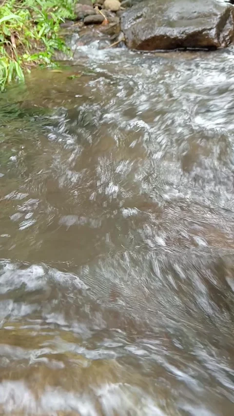 Close-Up of Flowing Water in Clear Natural Stream Stock Footage 330335868