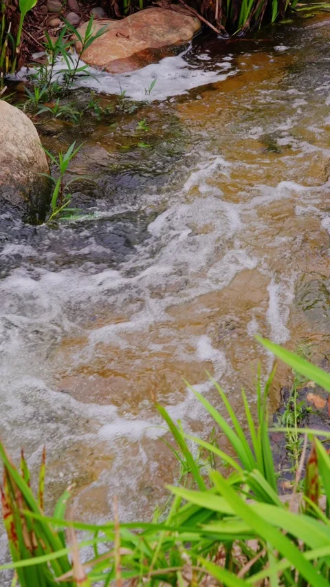 Close-up of flowing water in a shallow stream among green grass and boulders Stock Footage 340485881