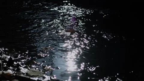 Close-up of flowing water stream with sunbeam highlights. Stock Footage 265386935