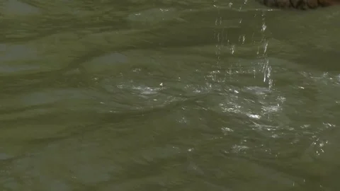 Close-Up of Flowing Water on the Vah River Video stock 344873720