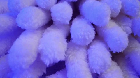 Close up fluffy wipe water absorption bathroom non-stick lanyard hand towel Stock Footage 146056039