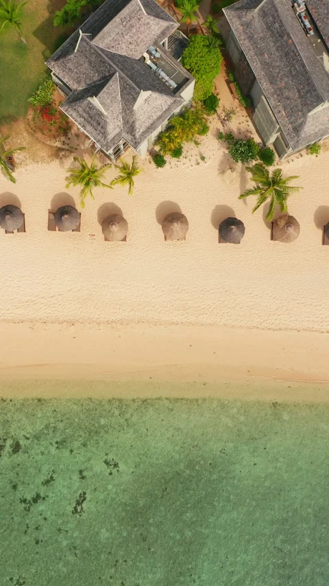 Close up fly over palm trees and beautiful beach lagoon. Paradise island in 库存影片 271154467