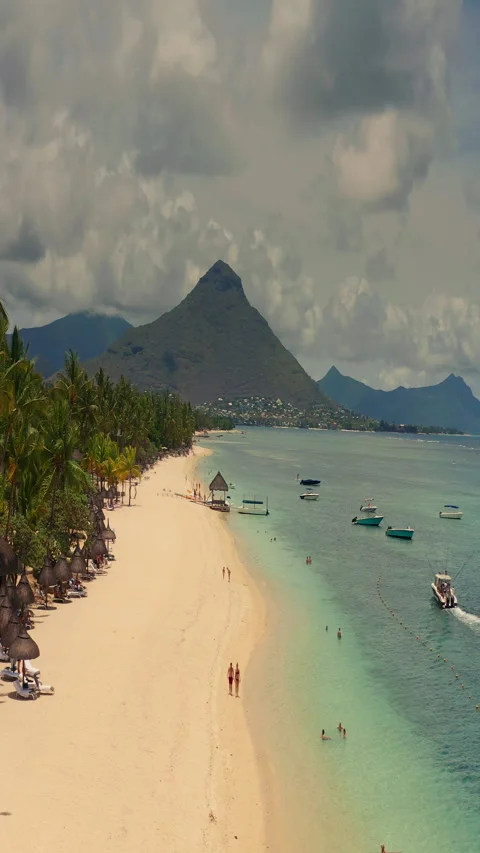 Close up fly over palm trees and beautiful beach lagoon. Paradise island in 動画素材 271665159