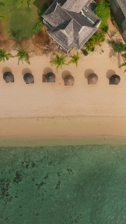 Close up fly over palm trees and beautiful beach lagoon. Paradise island in 스톡 동영상 271665237