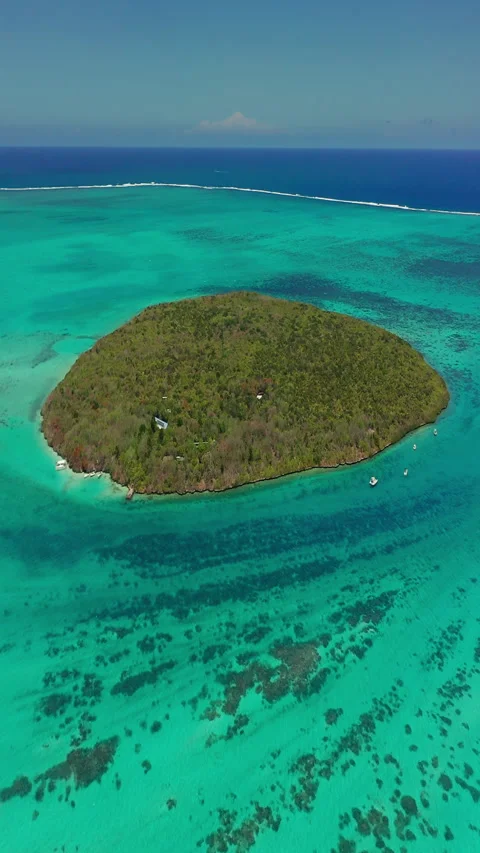 Close up fly over palm trees and beautiful beach lagoon. Paradise island in 스톡 동영상 271665436