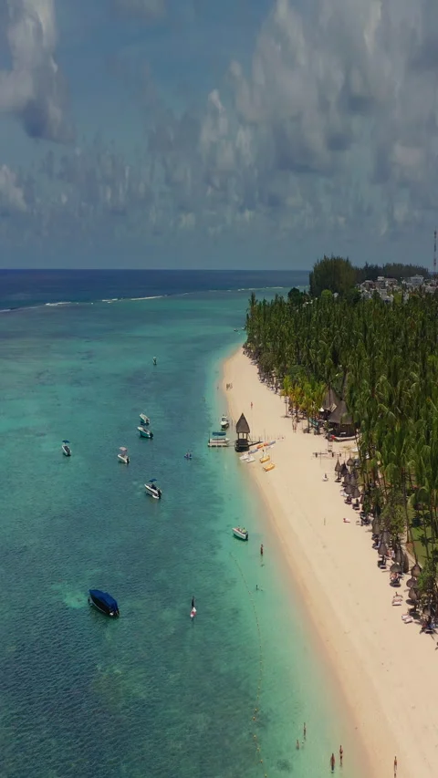 Close up fly over palm trees and beautiful beach lagoon. Paradise island in Video stock 272264220