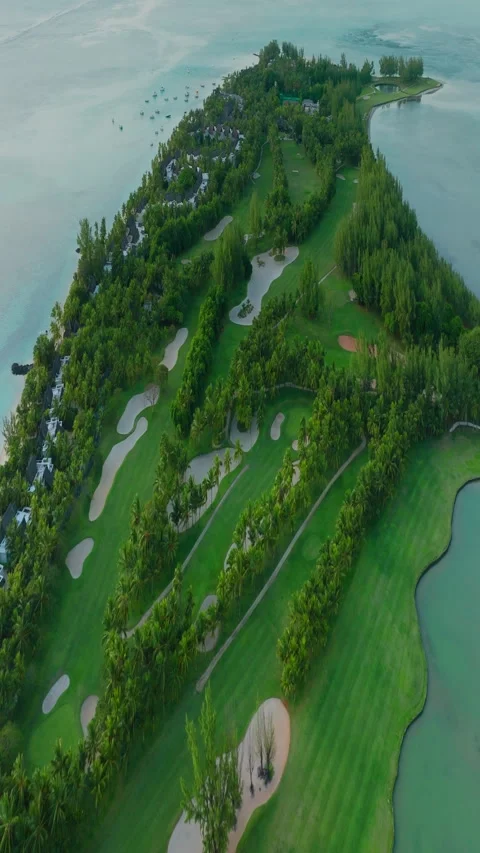 Close up fly over palm trees and beautiful beach lagoon. Paradise island in 库存影片 274285237