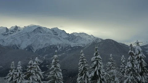 Close fly over trees to show view towards Mont Blanc at sunrise Stock Footage 102419076