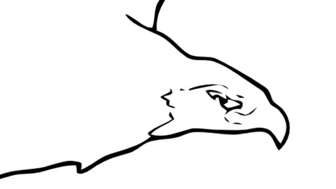 Close to flying eagle. Video stock 100431527