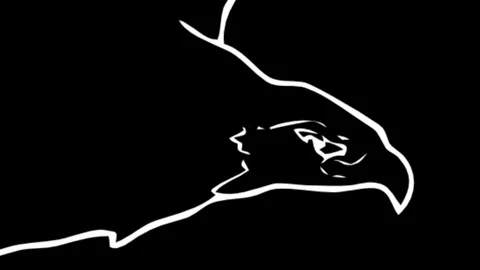 Close to flying eagle. Video stock 100431547