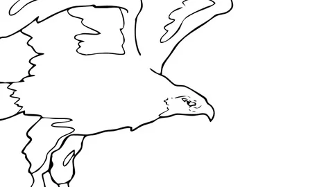 Close to flying eagle. Video stock 100431551