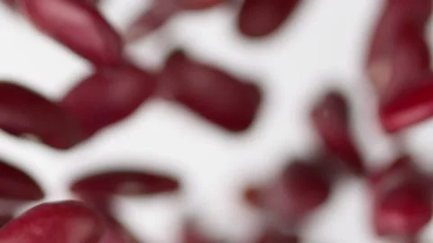 Close up flying red beans on the white background in slow motion Vídeo Stock 148552362
