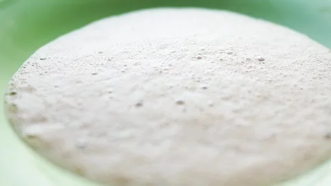Close-Up of Foam Bubbles. Foaming Agent in Action Stock-Footage 305795718