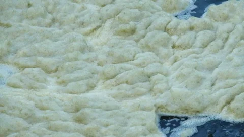Close up of the foam clumping in the river Stock Footage 280389022