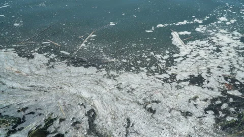 Close-up of foam floating on surface of a river, ecology and environmental po Stock Footage 227173803
